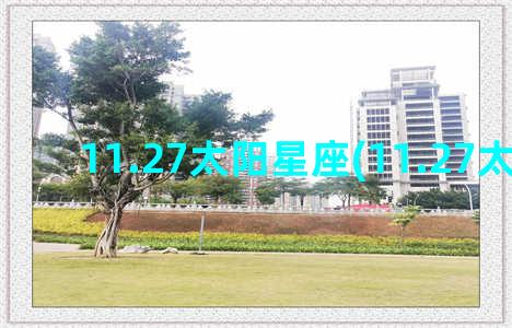 11.27太阳星座(11.27太阳星座)