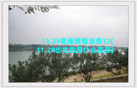 11.29星座感情运势12(11.29出生的是什么星座)