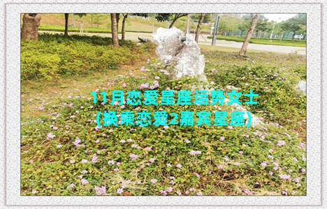 11月恋爱星座运势女士(换乘恋爱2嘉宾星座)