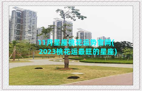 11月星座桃花运势官网(2023桃花运最旺的星座)