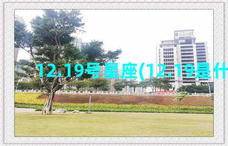 12.19号星座(12.19是什么星座)