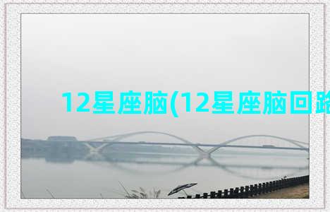 12星座脑(12星座脑回路图)