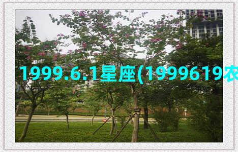 1999.6.1星座(1999619农历是什么星座)