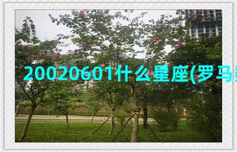 20020601什么星座(罗马数字20020601)