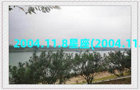 2004.11.8星座(2004.11.11农历是多少)