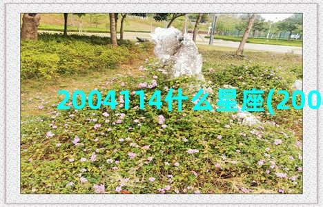 2004114什么星座(2004114农历)