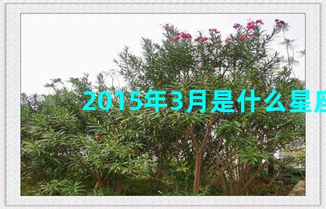 2015年3月是什么星座