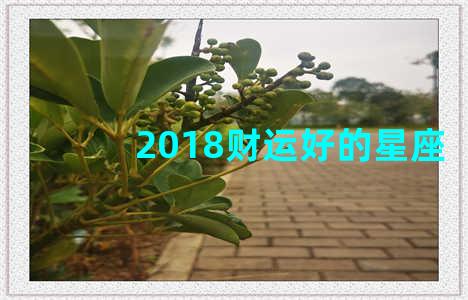 2018财运好的星座