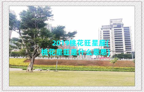 2019桃花旺星座(桃花星旺是什么意思)