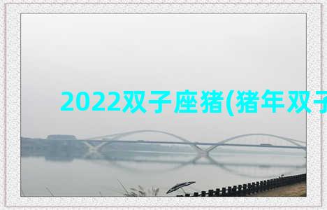 2022双子座猪(猪年双子座)