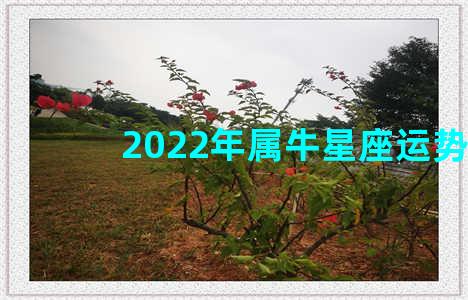 2022年属牛星座运势