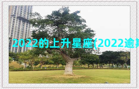 2022的上升星座(2022逾期人数上升)