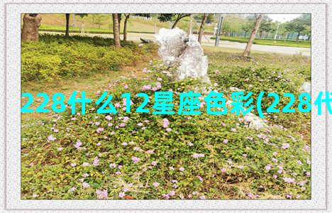 228什么12星座色彩(228代表什么意思)