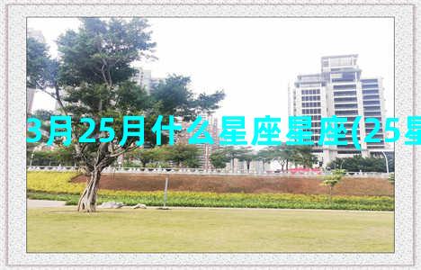 3月25月什么星座星座(25星什么水平)