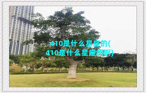 410是什么星座的(410是什么星座的啊)