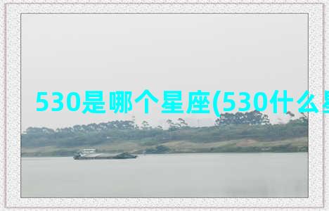 530是哪个星座(530什么星座男生)