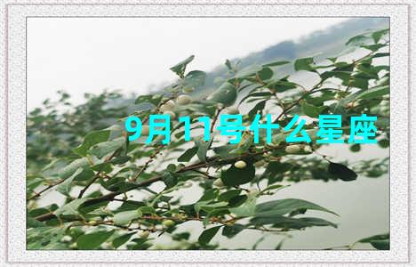 9月11号什么星座