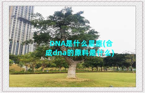 DNA是什么星座(合成dna的原料是什么)