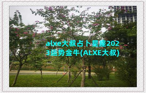 alxe大叔占卜星座2023运势金牛(ALXE大叔)