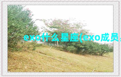 exo什么星座(exo成员星座)