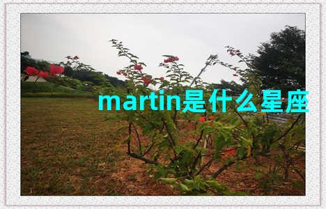 martin是什么星座