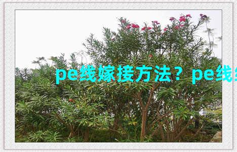 pe线嫁接方法？pe线结