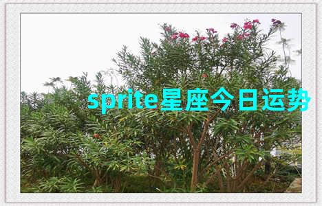 sprite星座今日运势