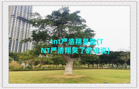 tnt严浩翔星座(TNT严浩翔哭了的小说)