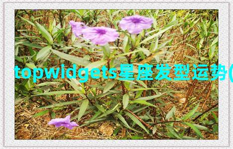 topwidgets星座发型运势(topwidgest下载)