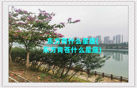 东方有什么星座(东方青苍什么星座)