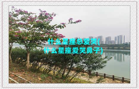 什么星座总爱哭(什么星座爱哭鼻子)