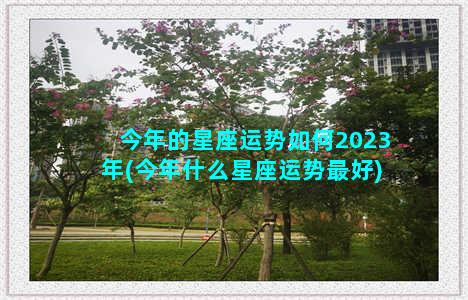 今年的星座运势如何2023年(今年什么星座运势最好)