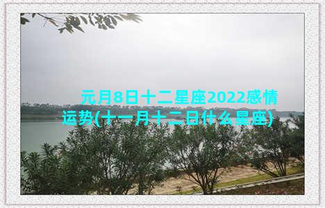 元月8日十二星座2022感情运势(十一月十二日什么星座)