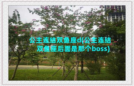 公主连结双鱼座d(公主连结双鱼座后面是那个boss)