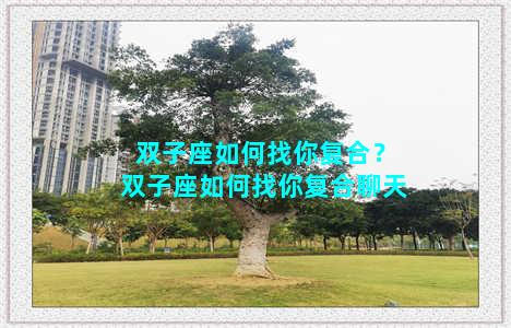 双子座如何找你复合？双子座如何找你复合聊天