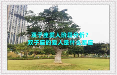 双子座爱人阶段分析？双子座的爱人是什么星座