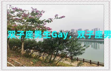 双子座男生Gay，双子座男生高冷吗