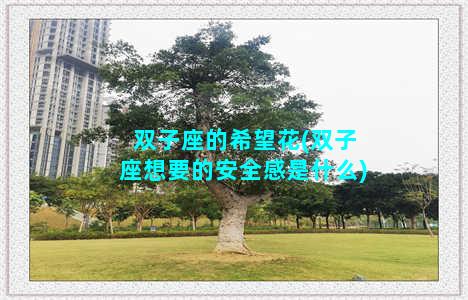 双子座的希望花(双子座想要的安全感是什么)