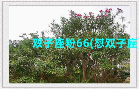 双子座粉66(怼双子座)