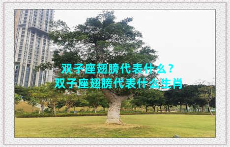 双子座翅膀代表什么？双子座翅膀代表什么生肖