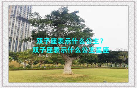 双子座表示什么公主？双子座表示什么公主星座