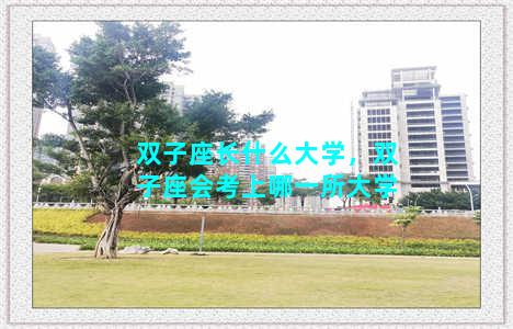 双子座长什么大学，双子座会考上哪一所大学