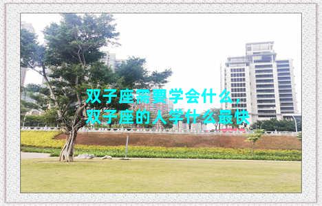 双子座需要学会什么，双子座的人学什么最快