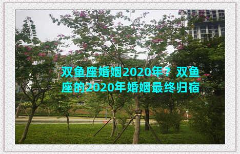 双鱼座婚姻2020年？双鱼座的2020年婚姻最终归宿