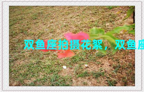 双鱼座拍摄花絮，双鱼座mv