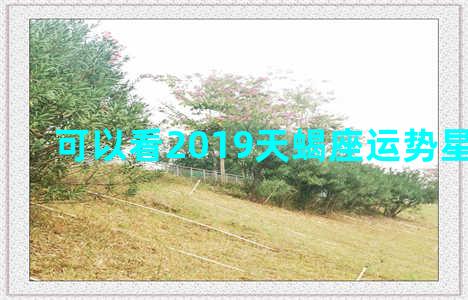 可以看2019天蝎座运势星座新浪