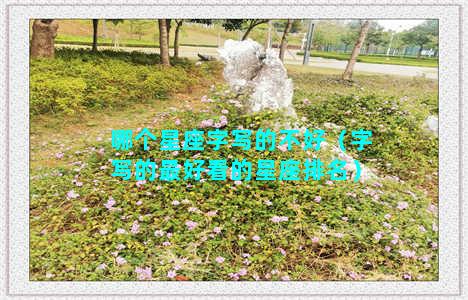 哪个星座字写的不好（字写的最好看的星座排名）