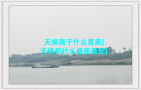 天蝎属于什么星座(天蝎和什么星座最配)