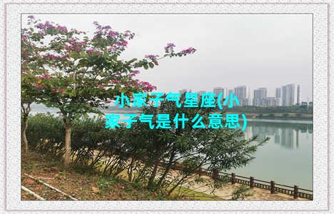 小家子气星座(小家子气是什么意思)