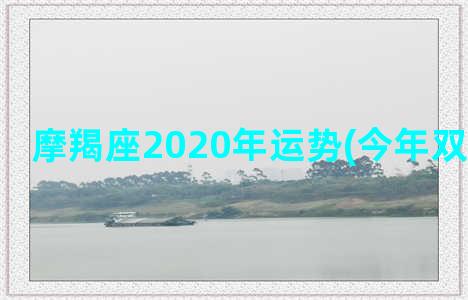 摩羯座2020年运势(今年双子座运势)